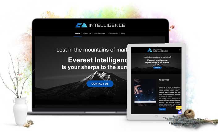 Everest Intelligence